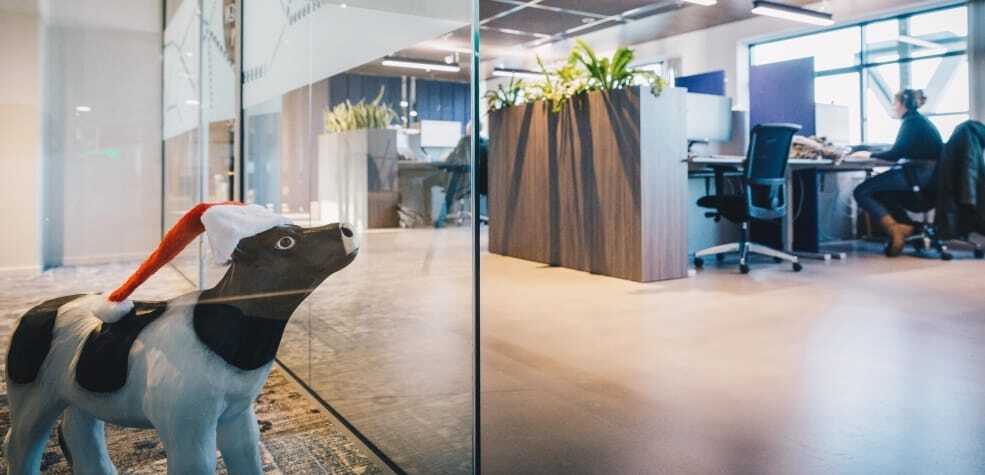 voys-nieuwsbrief-december-2021-koe-kerst